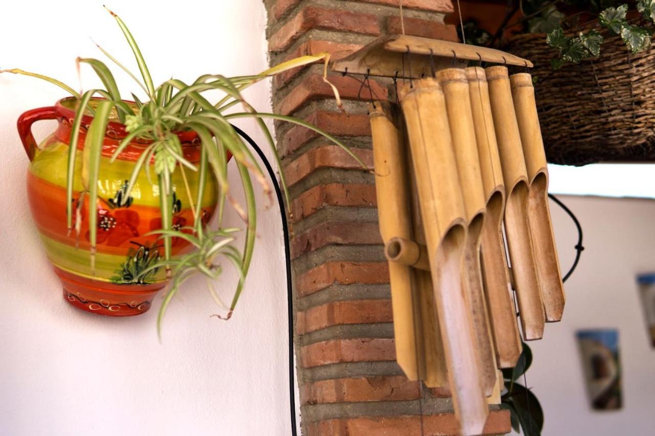 Mcgomez House Apartment Malaga Ngoại thất bức ảnh